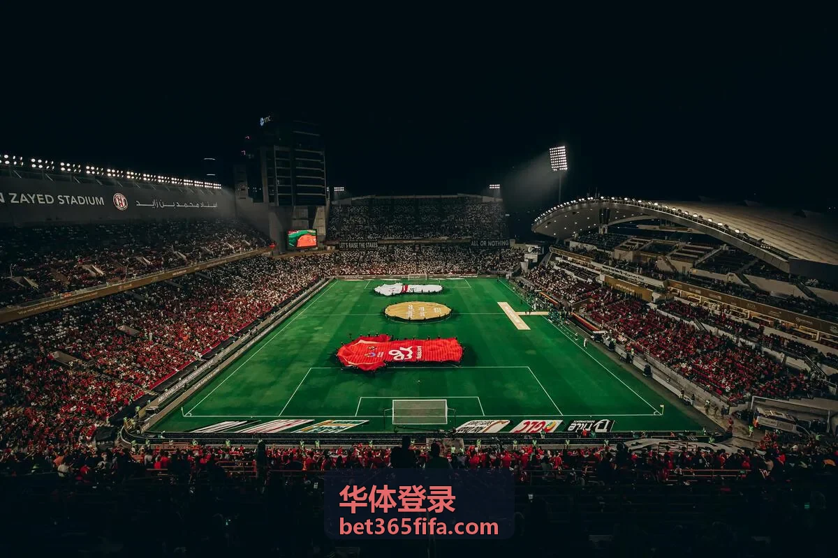 华体登录异常提醒处理与密码找回流程示意