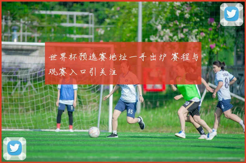 世界杯预选赛地址一手出炉 赛程与观赛入口引关注