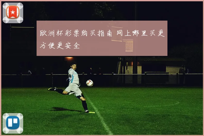 欧洲杯彩票购买指南 网上哪里买更方便更安全