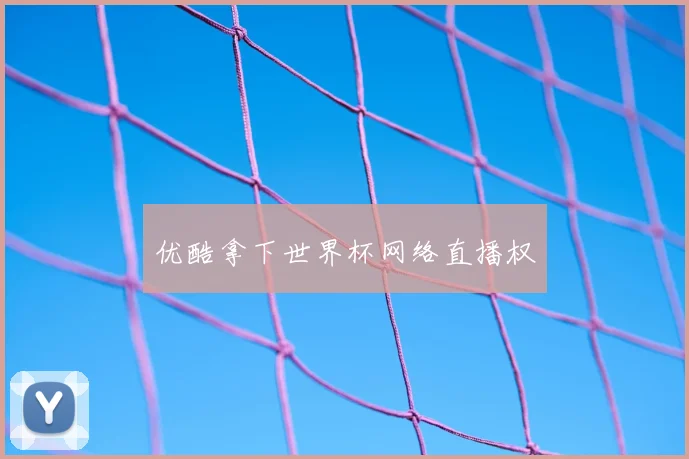 优酷拿下世界杯网络直播权